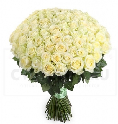 Белек цветок  Букет из 101 белой розы 